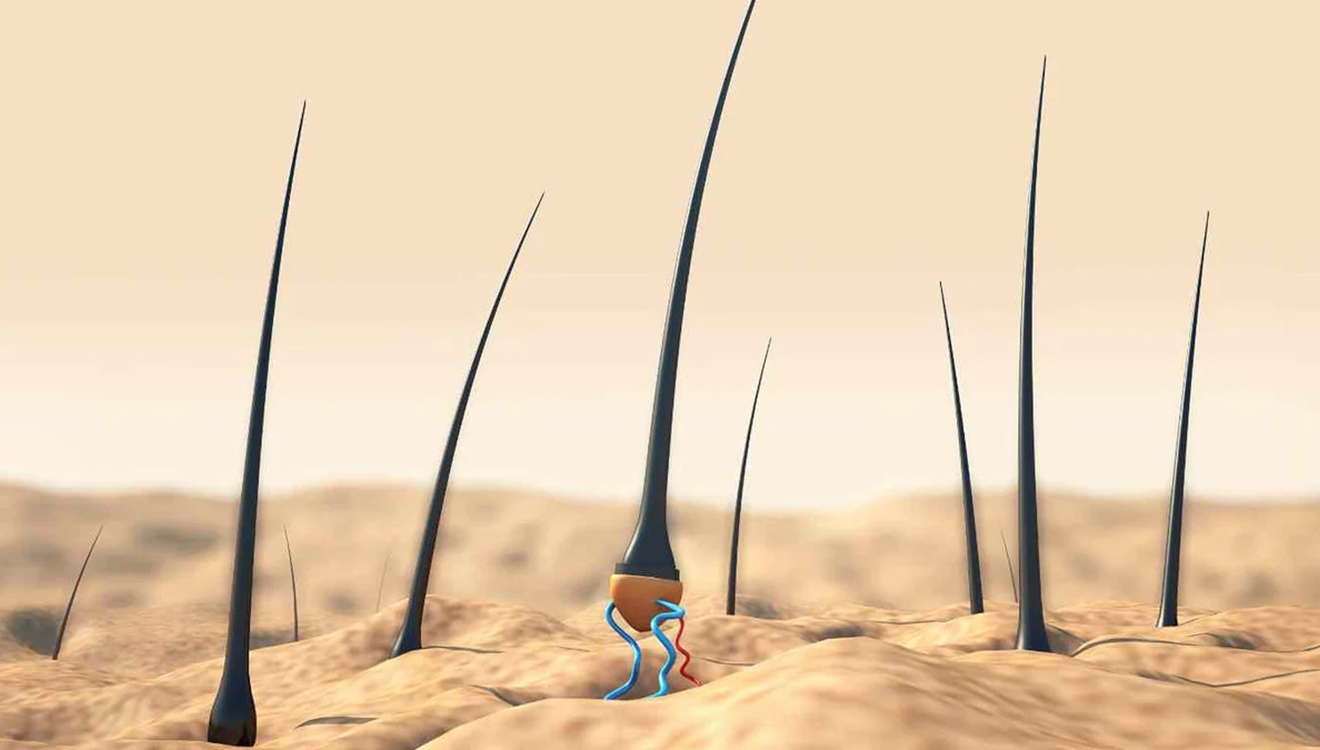 Celluma medical-grade LED device positioned for scalp treatment to stimulate hair follicle regrowth.